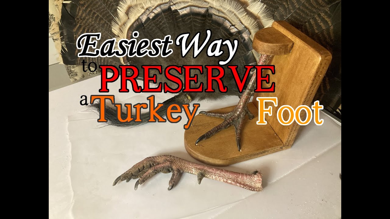 how-to-preserve-turkey-feet-hunterzonepro